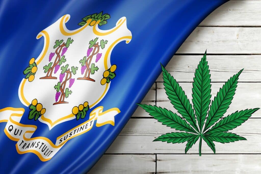 Connecticut flag and marijuana leaf