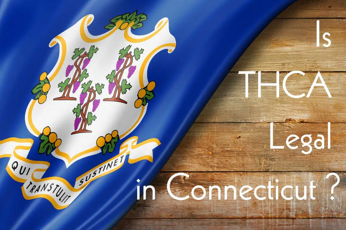 Is THCA legal in Connecticut banner