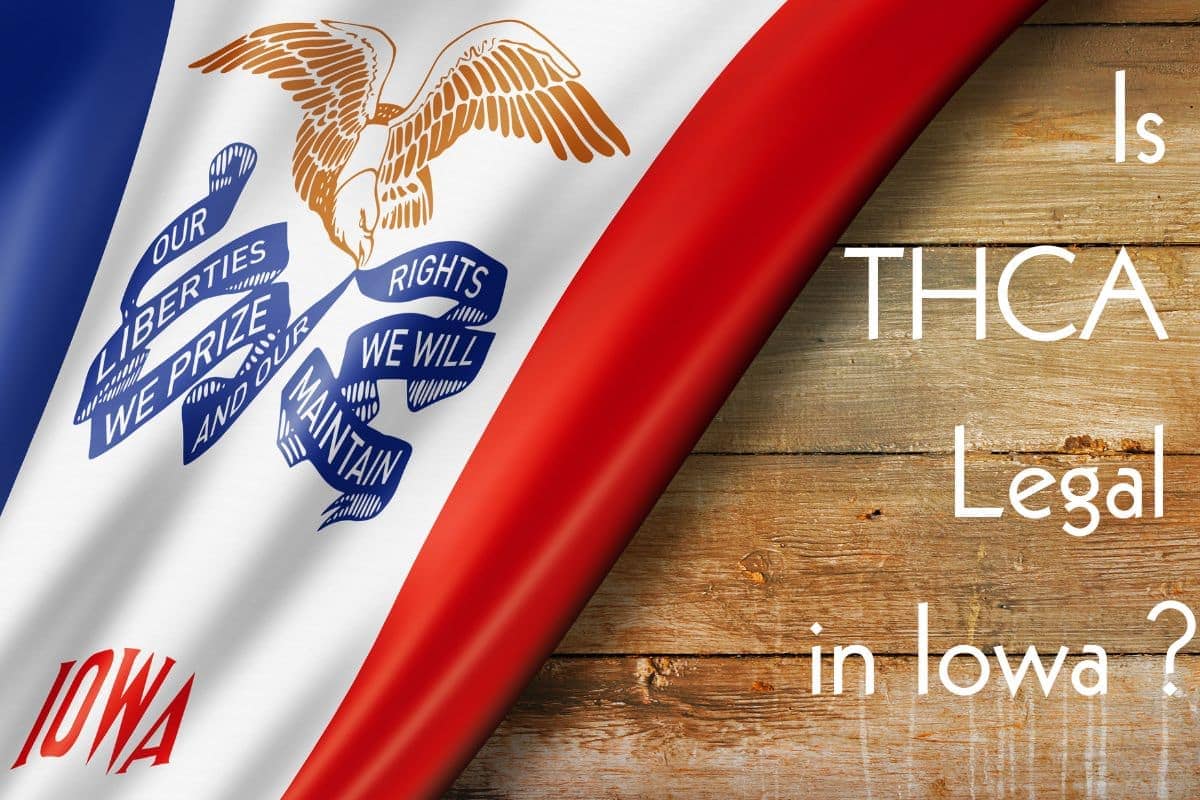 Is THCa Legal in Iowa: An Overview of State Regulations – D8 Super 