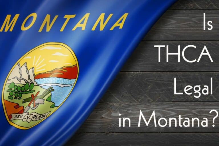 Is THCA Legal in Montana: Understanding State Cannabis Regulations