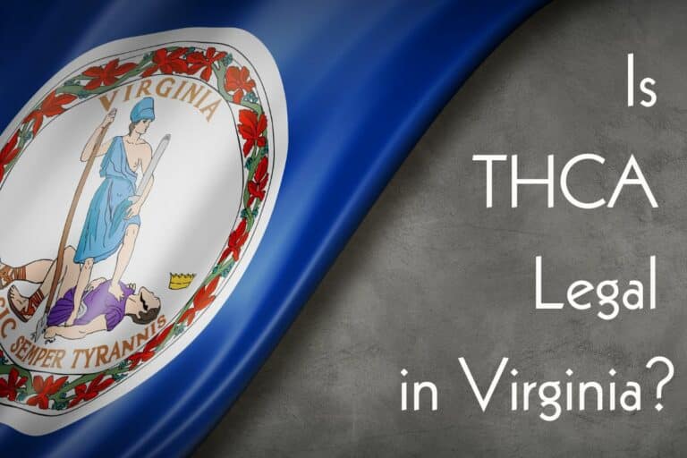 Is THCA Legal in Virginia: Understanding State Cannabis Laws