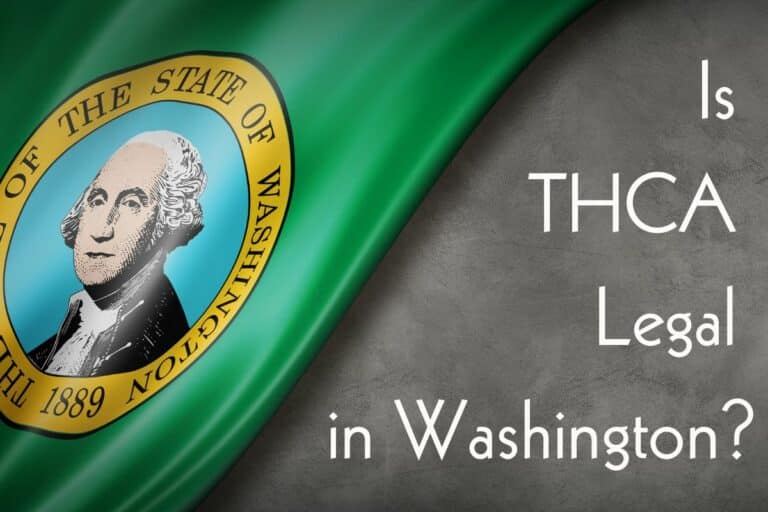 Is THCA Legal in Washington: Navigating Cannabis Regulations