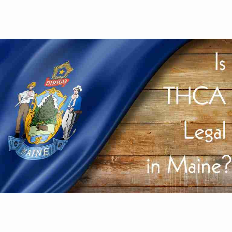 Is THCA Legal in Maine: Understanding State Cannabis Regulations