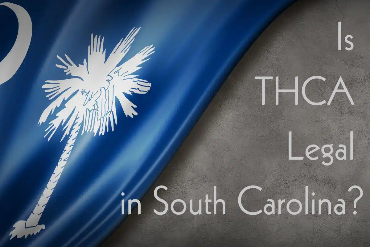 Is thca legal in South Carolina banner