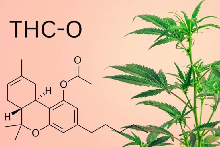 How Long Does THC-O Last in Your System: Duration and Detection Times
