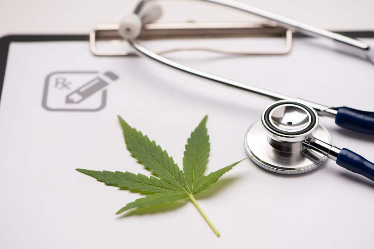 Medicinal marijuana leaf with stethoscope