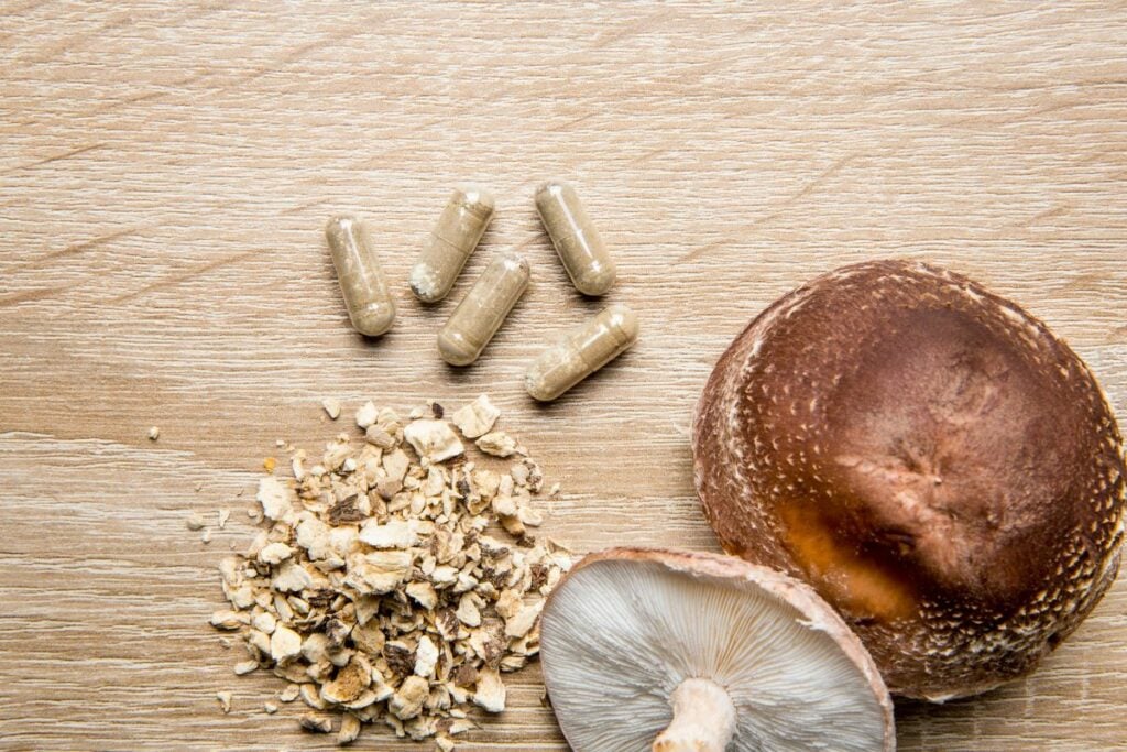 Best Mushroom Supplement for Anxiety