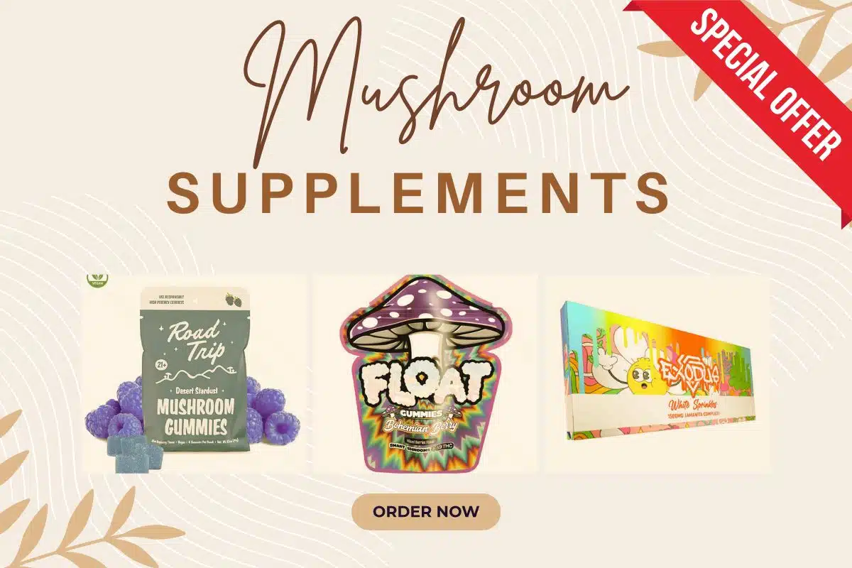 Mushroom Supplements for Sale