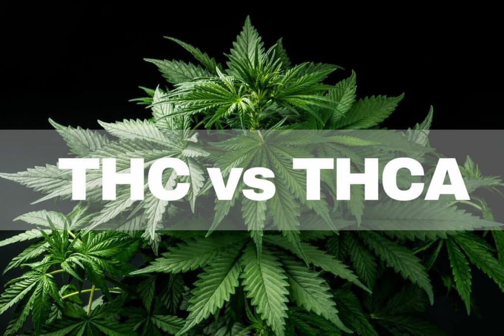 Thc vs thca: Is THCA legal in Delaware?