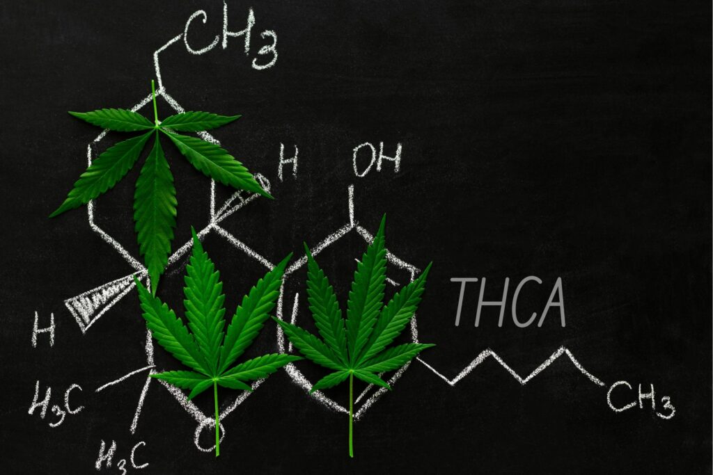 The chemical structure of THCA and CBD molecules drawn on a blackboard.