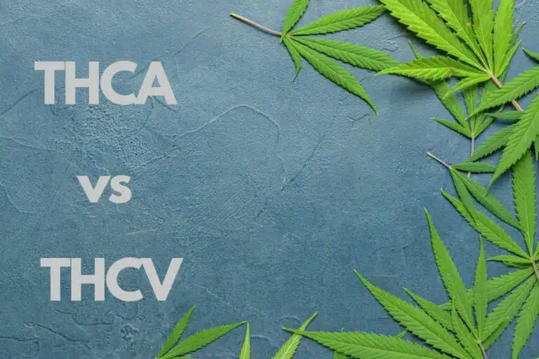 THCA vs THCV: Understanding the Differences and Effects