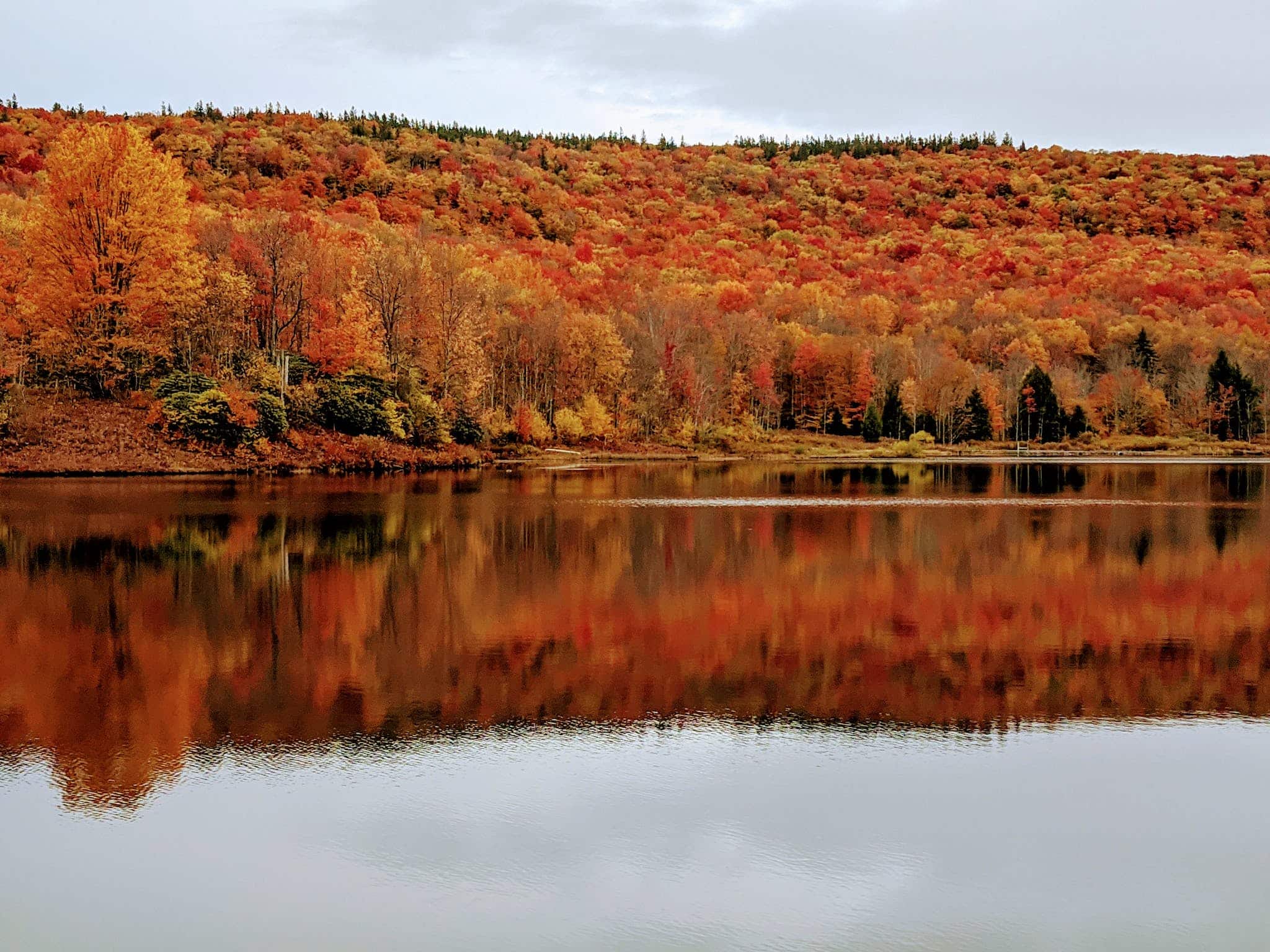 Autumn Trees Beside Lake in west virginia