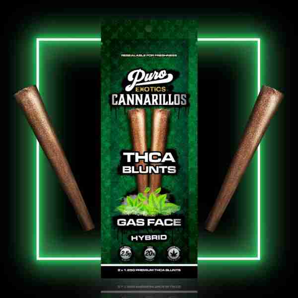 A package of Puro Exotics Cannarillos THC-A Pre-Roll 2-pk 2.5g in front of a neon light.