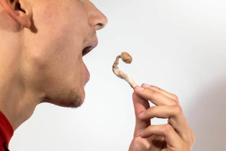 Can You Take Shrooms 2 Days in a Row: Safety and Considerations