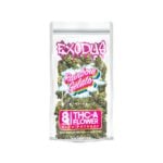 Exodus Indoor THCa Flower Packs 8g Rainbow Gelato