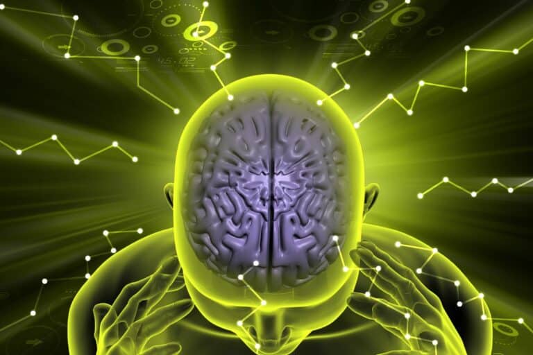What Does THCA Do to the Brain? Unveiling Cannabinoid Effects