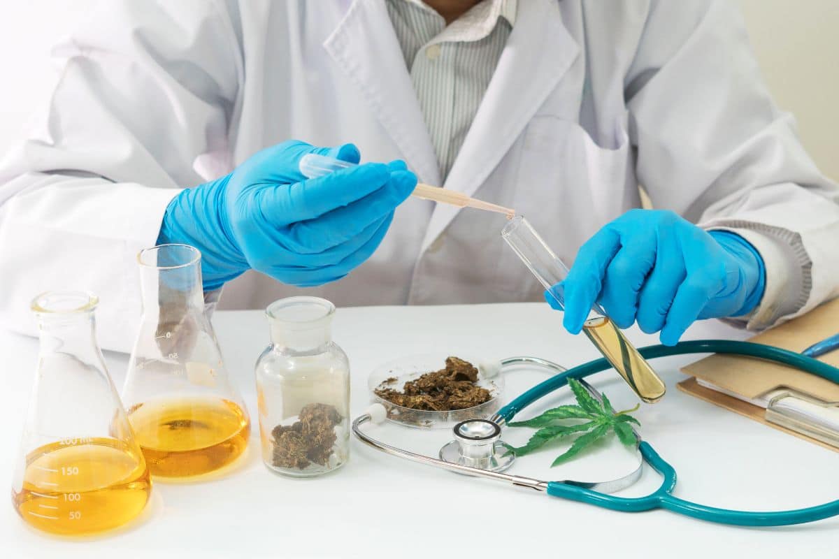 A Scientist doing research on THC