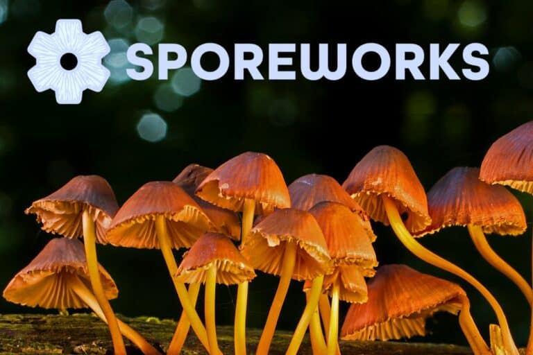 Sporeworks Reviews: Assessing Quality and Customer Experiences in Mycology Supplies