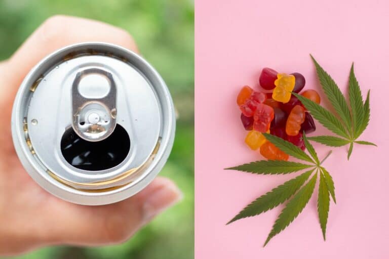 THC Drinks vs Edibles: Comparing Effects and Experiences