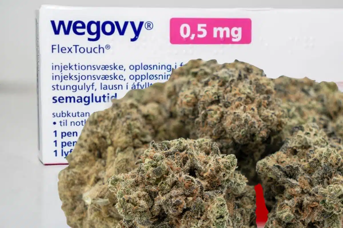 Wegovy and cannabis
