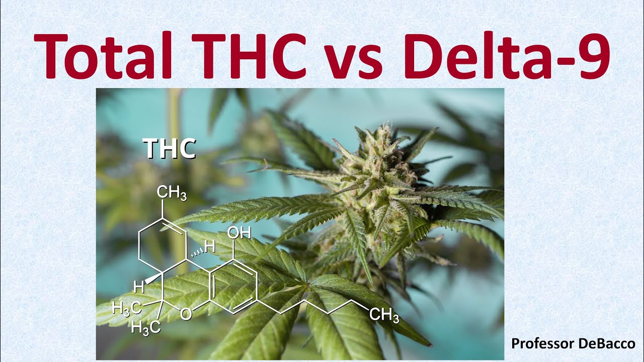 The comparison between total THC and delta 9 in relation to the process of detoxing from cannabis.
