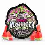 tre house magic mushroom gummies 15pc watermelon