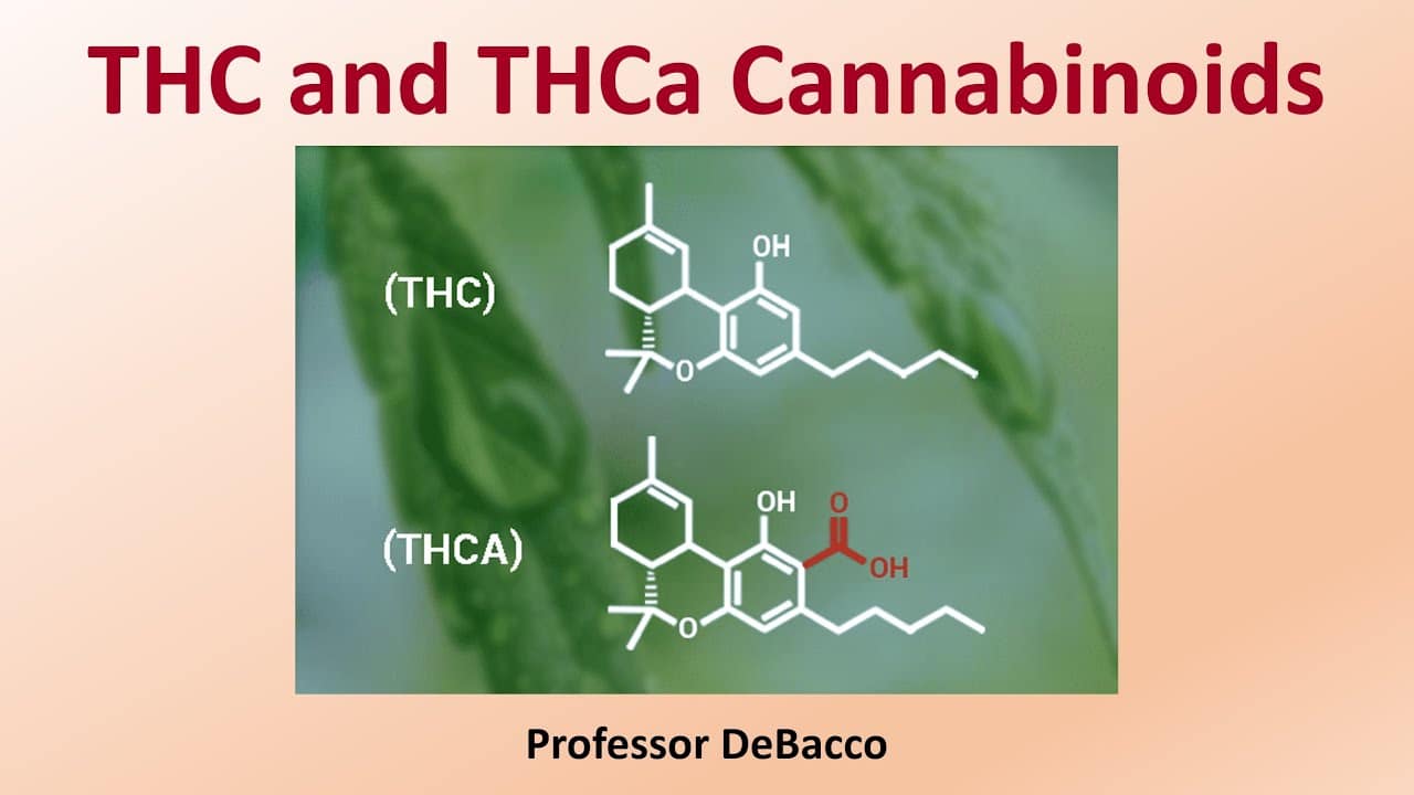 A potent chemical formula with THCA, containing 100mg.