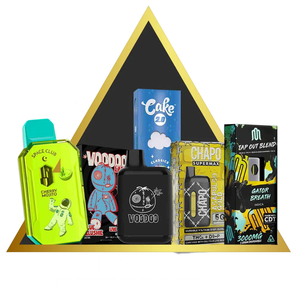 Assortment of five colorful, themed disposable vape devices, each labeled as '5 gram disposables.'.