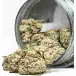 A Torch Powdered Doughnuts flower jar tipped over, spilling 3.5g of dried cannabis buds onto a surface.