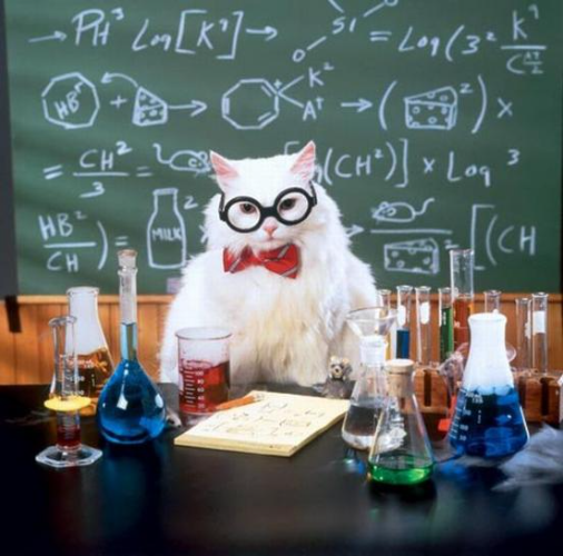 A fluffy white cat wearing glasses and a red bow tie sits at a lab bench, pondering what THCA does to the brain, surrounded by colorful beakers and test tubes in front of a chalkboard filled with complex chemical equations.