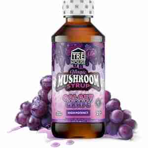 TRĒ House Mushroom Syrup