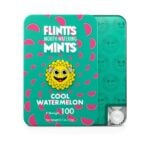 Flintts Mints 12 pack - Cool Watermelon