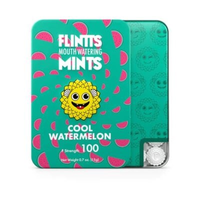 Flintts Mints 12 pack - Cool Watermelon