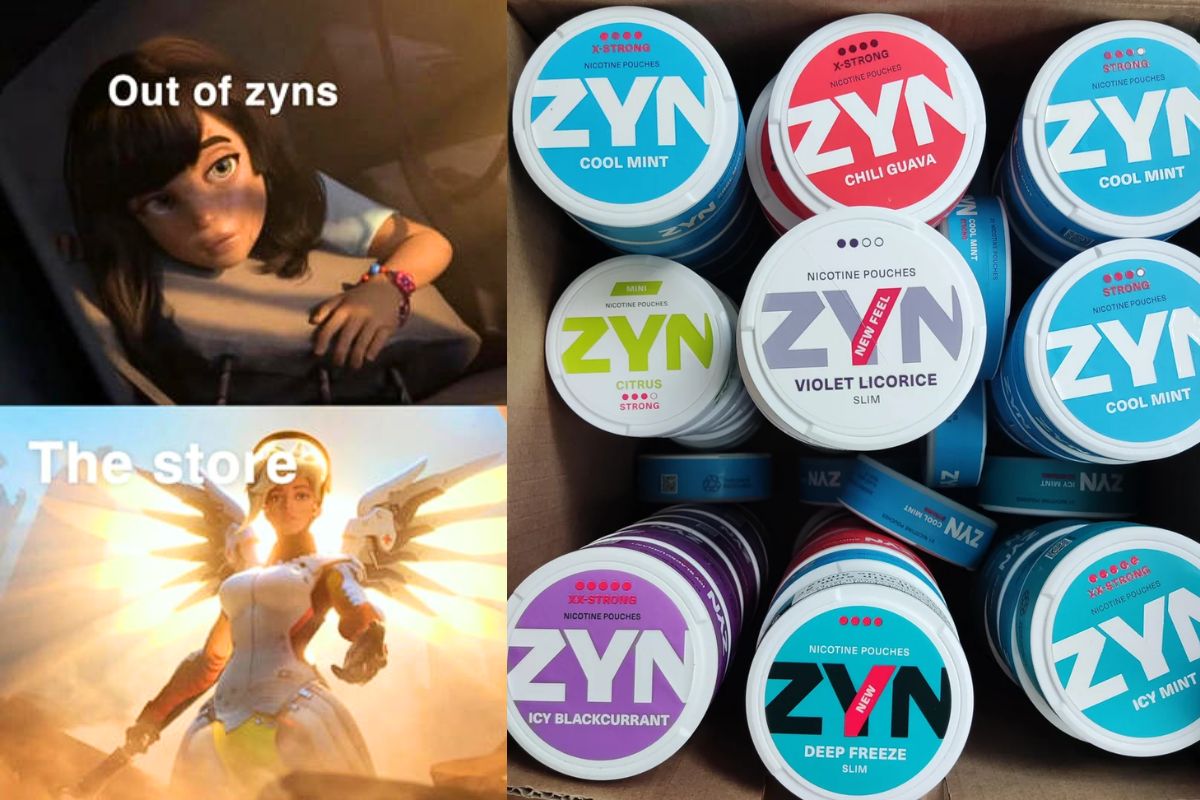 A meme of zyn shown in the image on the left side with a collection of different zyn cans at a store on the right side of the image