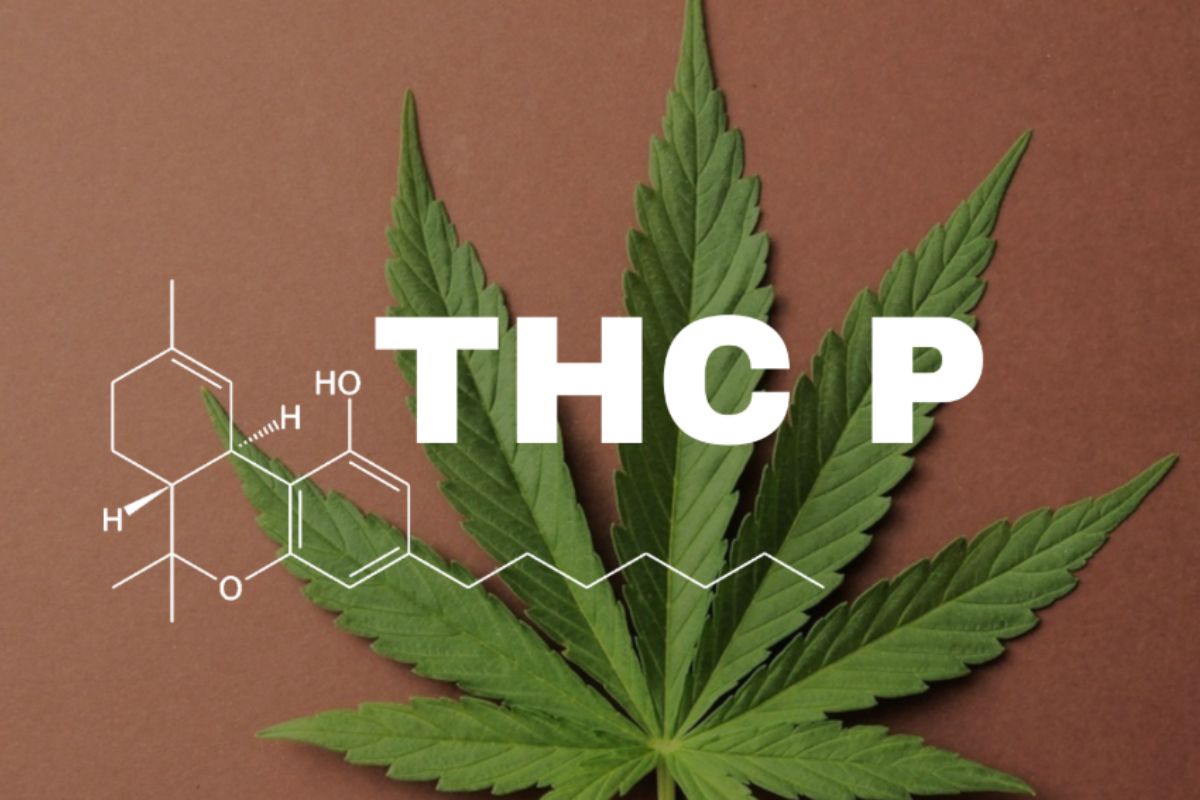 An image of a cannabis plant leaf with the THCP chemical formula displayed on it