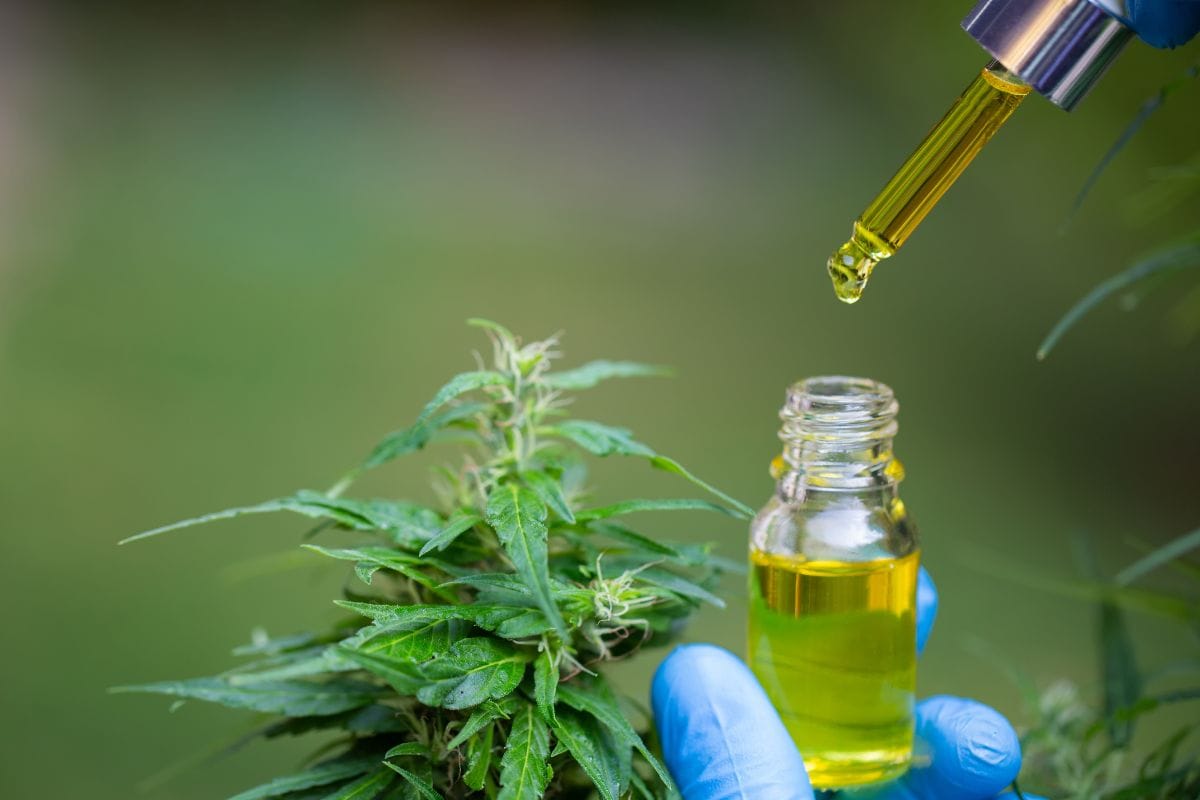 A person showing PCR hemp oil shown in the image