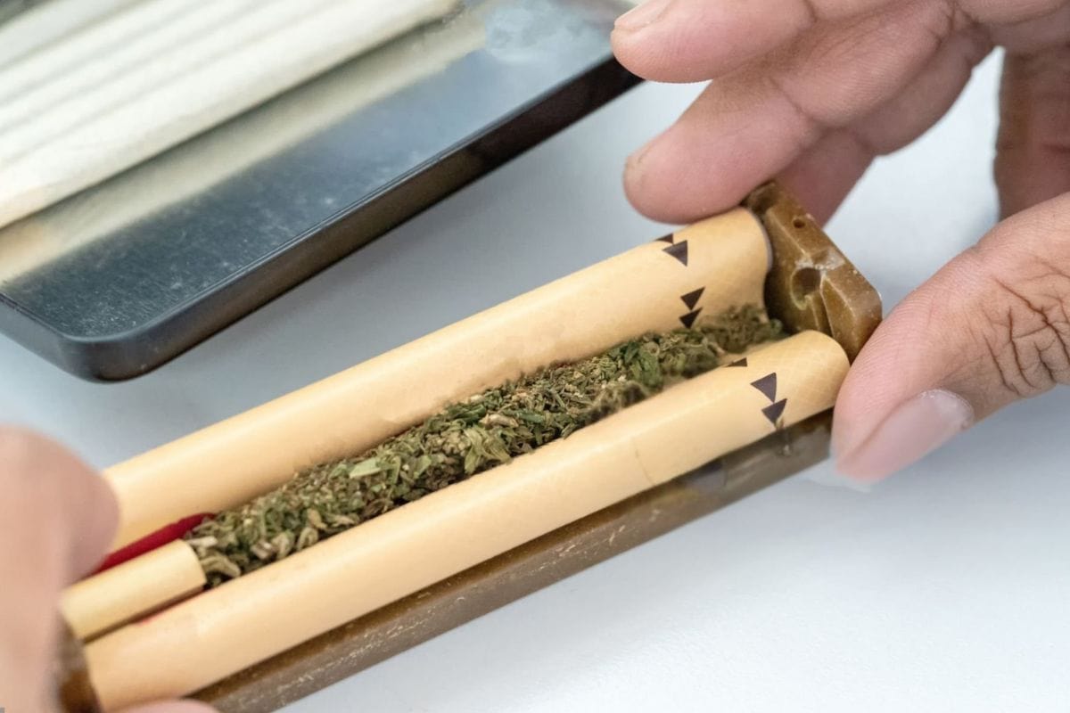 A person using blunt roller to make his pre-roll