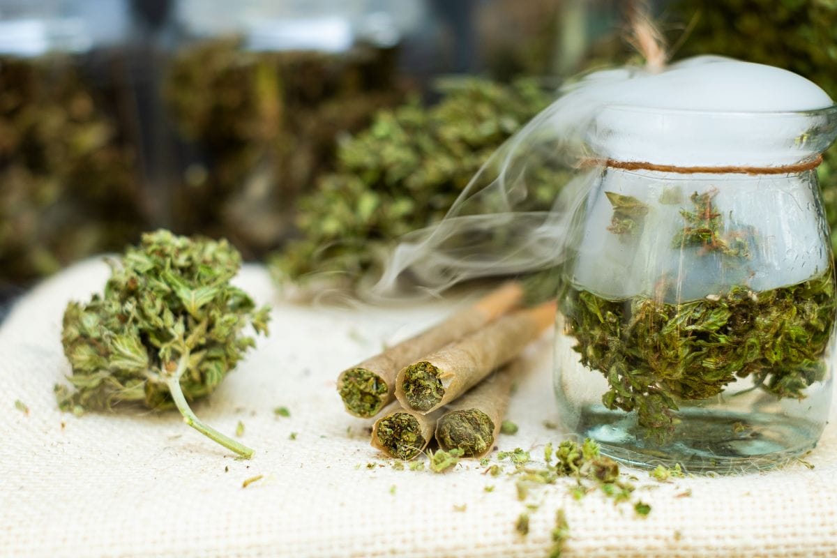 Four RAW Cones kept with some cannabis buds