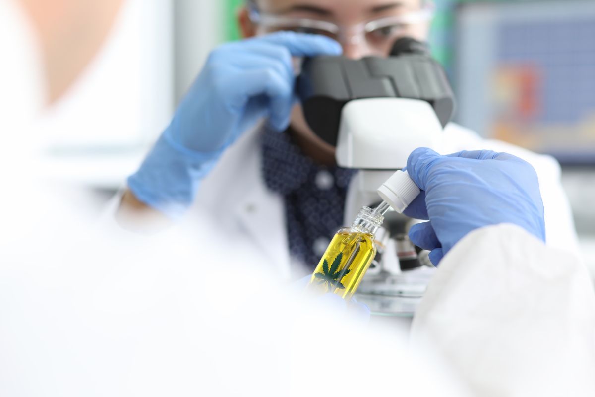 A lady is testing a cannabis plant and preparing a lab report for its THC content