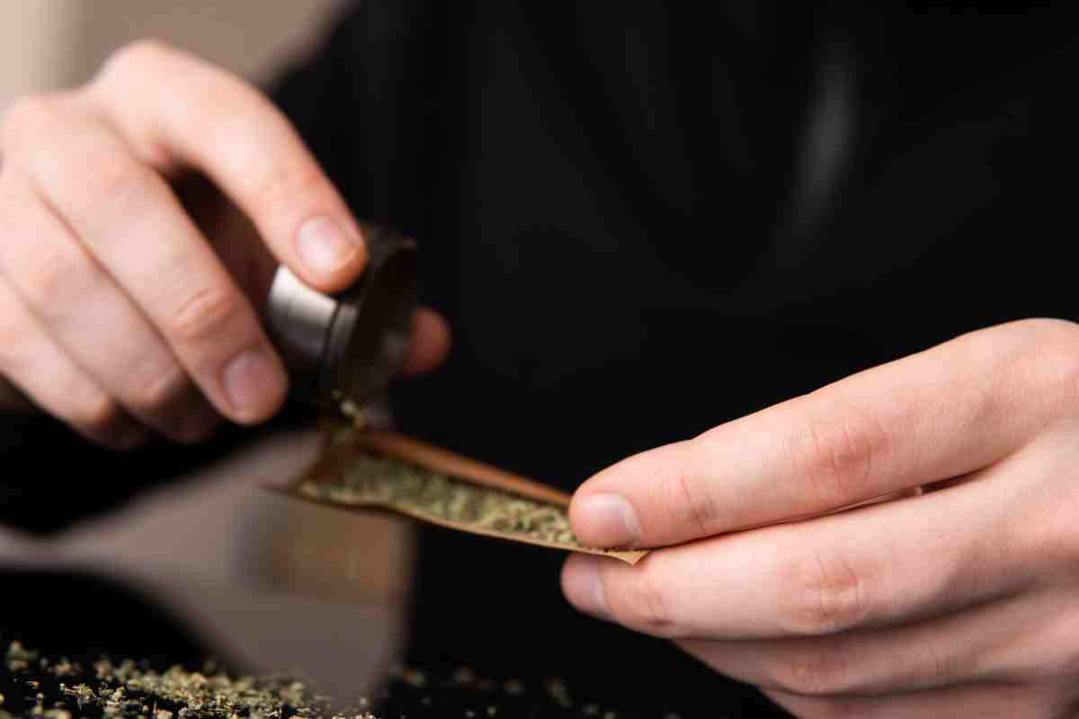 A person is putting cannabis extracts inside the blunt