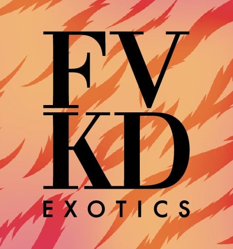 FVKD Exotics